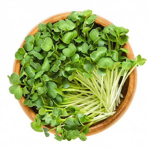 inGreen Microgreens set 2+2 REĎKOVKA DAIKON