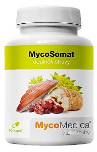 MYCOMEDICA MYCOSOMAT 90 KAPSÚL