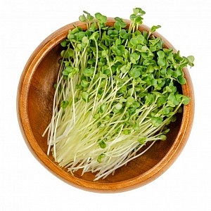 inGreen Microgreens set 2 2 BROKOLICA