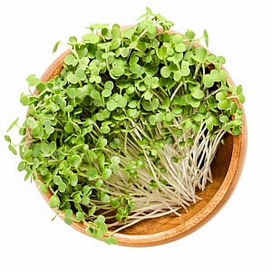 inGreen Microgreens set 2+2 HORČICA