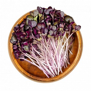 inGreen Microgreens set 2+2 KAPUSTA ČERVENÁ