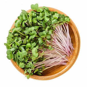 inGreen Microgreens set 2+2 KEDLUBNA
