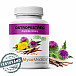 MycoMedica OSTROPESTREC 90 kapsúl (pestrec, reishi, púpava)