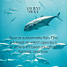 Ancient Brave Wild Marine Collagen 200 g