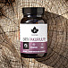 Puhdistamo Earth Chaga BIO 60 kapsúl (PAKURIUUTE)