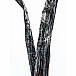 Caldera Spices Vanilkový struk Crystal