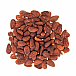 NUTTY Mandle pražené solené so šupkou 150 g