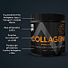 PULS Nutrition Collagen 300g orange